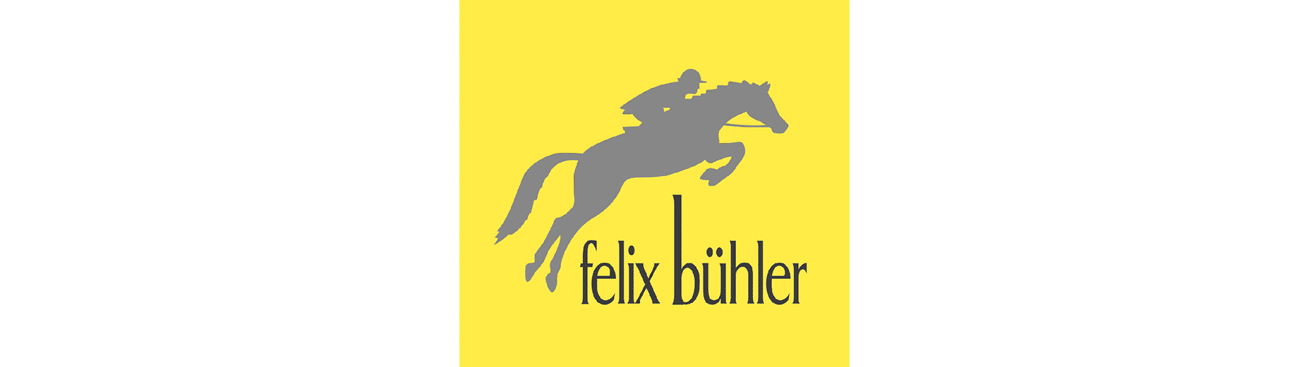 felix-buehler.ch