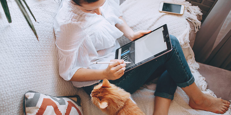 Strom sparen beim Laptop: Frau mit Tablet und Katze auf dem Sofa